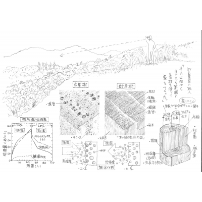 初めての人にもできる!古民家再生絵本 古民家のみかた、みせかた、なお