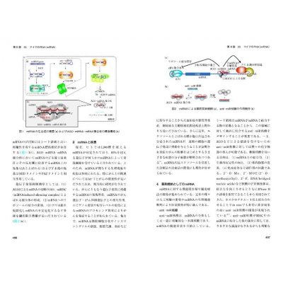 核酸科学ハンドブック : 日本核酸化学会 | HMV&BOOKS online