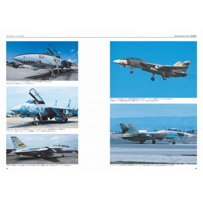 可変翼戦闘機F‐14マニアックス 米海軍とイランの部隊詳細 The Maniacs 