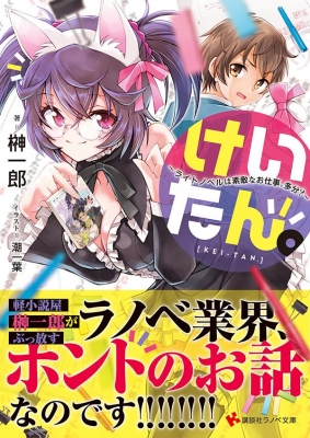 ラノベ　ライトノベル　漫画　など　まとめ売り けいたん。-ライトノベルは素敵なお仕事。多分?-講談社ラノベ