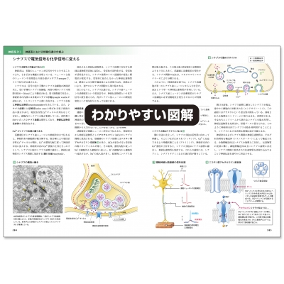 カラー図解 人体の正常構造と機能 全10巻縮刷版 : 坂井建雄 | HMV&BOOKS online : Online Shopping