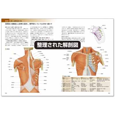 カラー図解 人体の正常構造と機能 全10巻縮刷版 : 坂井建雄