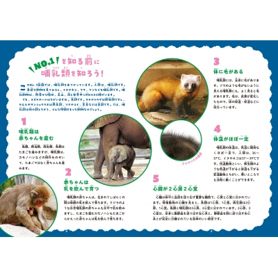 新・飼育ハンドブック 動物図鑑 1-5セット 動物No.1図鑑 : 藤原尚太郎 | HMV&BOOKS online - 9784866513546