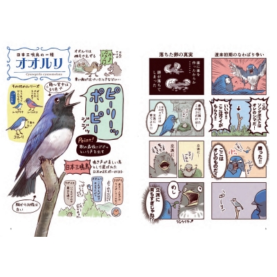 オオルリ、キビタキ、センダイムシクイ | The fool on the web
