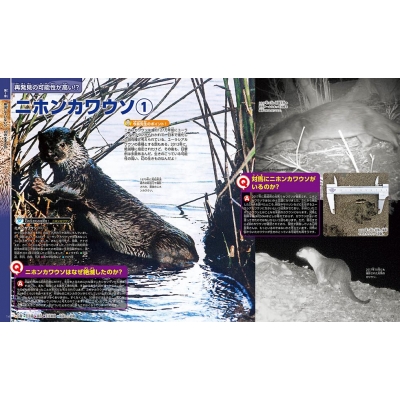 Ex Move 幻の生きもの 講談社の動く図鑑move : Kodansha