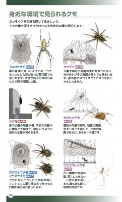 クモの巣ハンドブック : 馬場友希 | HMV&BOOKS online
