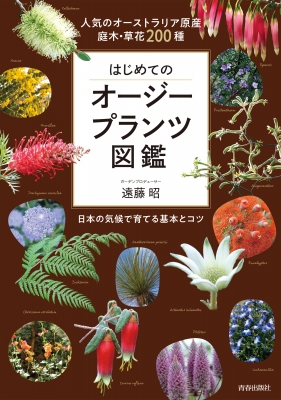 はじめてのオージープランツ図鑑 人気のオーストラリア原産 庭木 草花0種 日本の気候で育てる基本とコツ 遠藤昭 Hmv Books Online