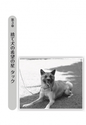 保護犬タック命の奇蹟 殺処分直前から始まった シンデレラストーリー ゆりあ 優李阿 Hmv Books Online