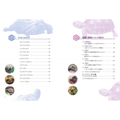 もっと知りたいリクガメのこと 幸せに暮らす飼い方・育て方がわかる本