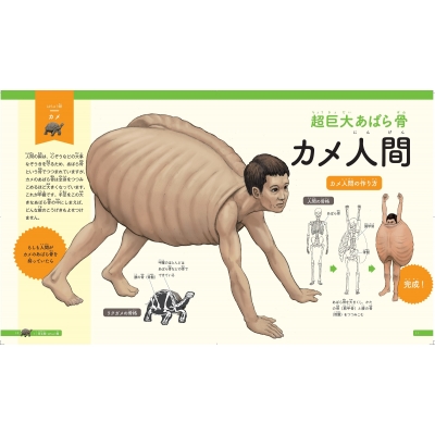 カメの甲羅はあばら骨 ジュニア版 人体で表す動物図鑑 : 川崎悟司