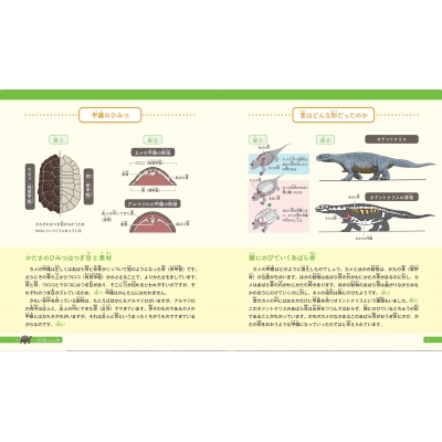 カメの甲羅はあばら骨 ジュニア版 人体で表す動物図鑑 カメの甲羅はあばら骨 ジュニア版 人体で表す動物図鑑 | 川崎