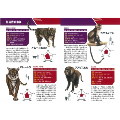 どっちが強い!? クロヒョウvsマンドリル まさかの空中決戦 角川