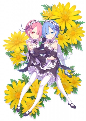 Re: ゼロから始める異世界生活 大塚真一郎 Art Works Re: BOX Re: ゼロから始める異世界生活 大塚真一郎 Art Works Re: BOX