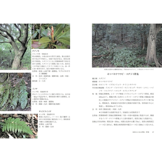 皿倉山の植生と植物 : 本田守 | HMV&BOOKS online - 9784866561028