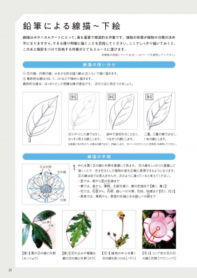 はじめてのボタニカルアート 透明水彩で描く、花と植物の細密画 : 小林英成 | HMV&BOOKS online - 9784537219265