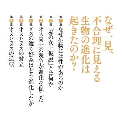 赤の女王仮説