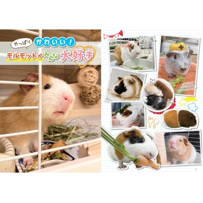 小学生でも安心 はじめてのモルモット 正しい飼い方 育て方 まなぶっく 大庭秀一 Hmv Books Online