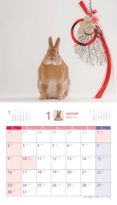 みんなのうさぎ Happy Calendar 22 うさぎと暮らす編集部 Hmv Books Online