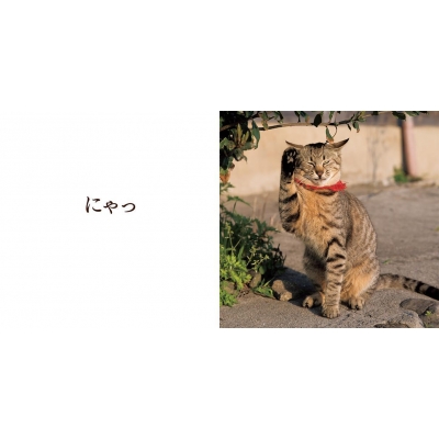 にゃあにゃ 絵本 にゃあにゃ 絵本