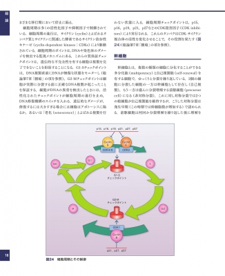 解明病理学 第4版 病気のメカニズムを解く : 青笹克之