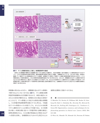 解明病理学 第4版 病気のメカニズムを解く : 青笹克之 | HMV&BOOKS