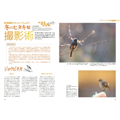 ジョウビタキ・ルリビタキ・オジロビタキ BIRDER Special