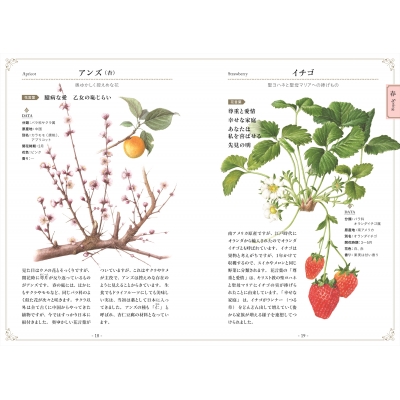 植物画で彩る美しい花言葉 花図譜で楽しむ 小さな物語 二宮孝嗣 Hmv Books Online