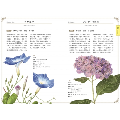 植物画で彩る美しい花言葉 花図譜で楽しむ 小さな物語 二宮孝嗣 Hmv Books Online