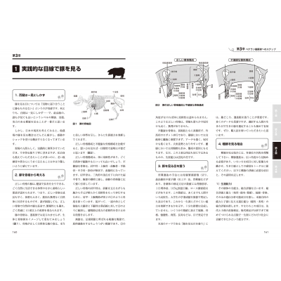 まるわかり養豚実用ハンドブック : 伊東正吾 | HMV&BOOKS online - 9784895317795