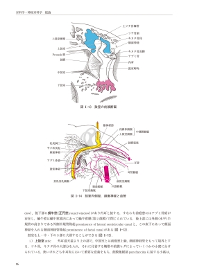 新耳鼻咽喉科学 : 切替一郎 | HMV&BOOKS online - 9784525370527