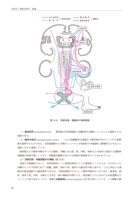 新耳鼻咽喉科学 : 切替一郎 | HMV&BOOKS online - 9784525370527