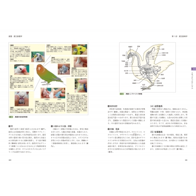 全商品オープニング価格 特別価格】 愛玩動物看護師の教科書 第1巻〜第