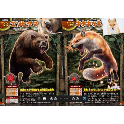頂上決戦 日本の危険生物最強王決定戦 Creature Story Hmv Books Online