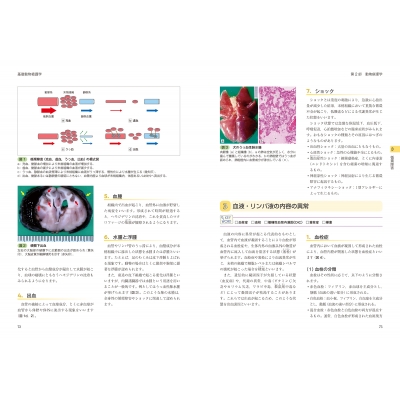 愛玩動物看護師の教科書 第3巻 基礎動物看護学 : 緑書房 | HMV&BOOKS