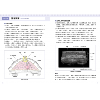 乳房アトラス 新装三訂版 コンパクト超音波neo : 佐久間浩 | HMV&BOOKS 