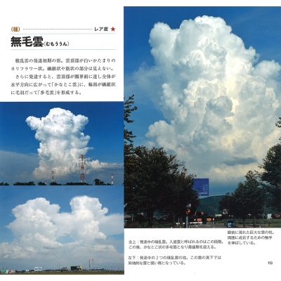 新・雲のカタログ 空がわかる全種分類図鑑 : 村井昭夫 | HMV&BOOKS