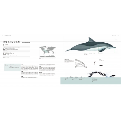 世界のクジラ・イルカ百科図鑑 : アナリサ・ベルタ | HMV&BOOKS online 