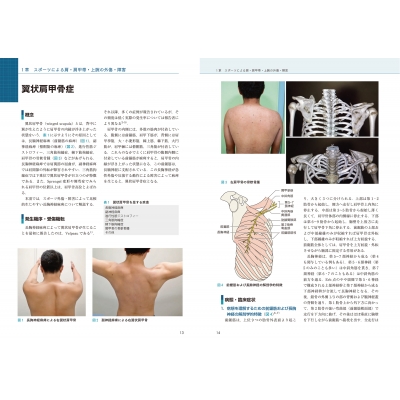 ー品販売 講座スポーツ整形外科学 = Comprehensive Handbook of… - 本