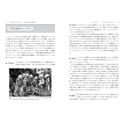 世界の仮面文化事典 : 吉田憲司 | HMV&BOOKS online - 9784621306840