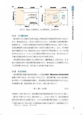 基礎からの超伝導 風変わりなペアを求めて KS物理専門書 : 楠瀬博明