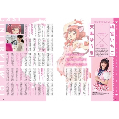 東京ミュウミュウにゅー公式ビジュアルブック 別冊付録TVアニメ