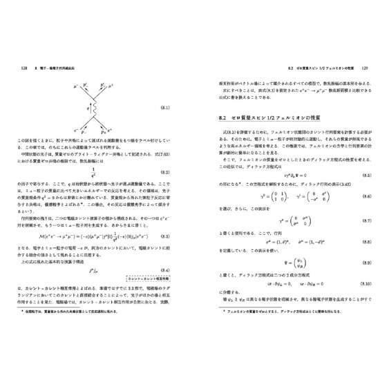 Amazon.co.jp: ペスキン 素粒子物理学 : Michael E. Peskin, 丸