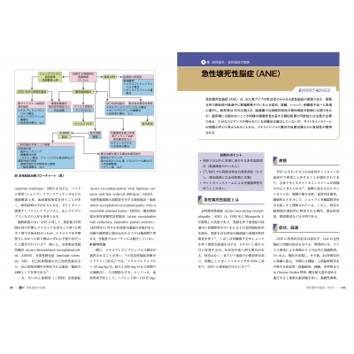 小児急性脳炎・脳症のとらえ方と治療戦略―Practice and Progress (小児科ベストプラクティス) 小児急性脳炎・脳症のとらえ方と治療戦略-Practice and Progress
