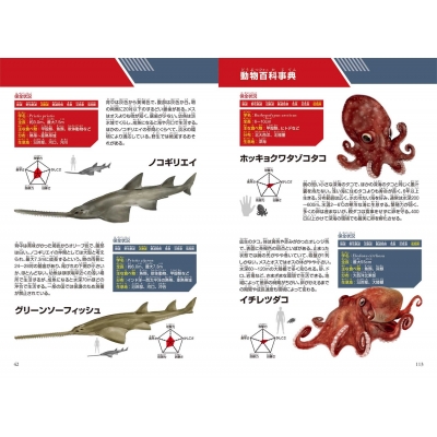 どっちが強い!? ミズダコVSノコギリエイ 海底忍者の大一番 角川