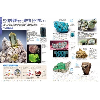 新版 岩石・鉱物・化石 DVDつき 小学館の図鑑NEO : 萩谷宏 | HMV&BOOKS