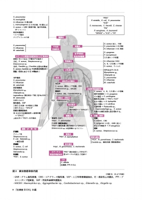 抗菌薬BOOK&MAP 抗菌薬治療の要点解説書(抗菌薬 BOOK)1 冊 と 抗菌薬