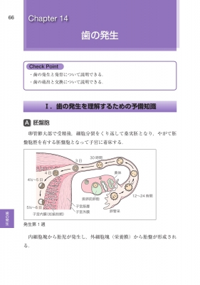 歯科国試パーフェクトマスター 口腔組織・発生学 第2版 : 中村浩彰
