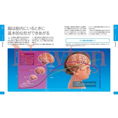 Newton 大図鑑シリーズ 脳大図鑑 Newton大図鑑シリーズ : 河西春郎