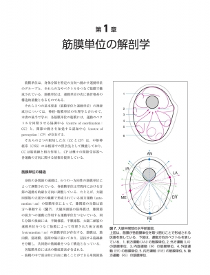 筋膜マニピュレーション : 筋骨格系疼痛治療 理論編 abitur