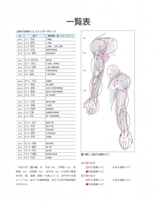 筋膜マニピュレーション 理論編 原著第2版 筋骨格系疼痛治療 : Luigi